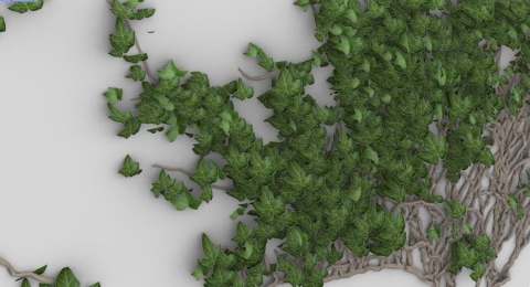 Generates Ivy and plant 3D models.