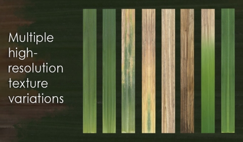 REAL GRASS is a realistic 3D model library for architectural visualization in Rhino 5 and v-ray with 122 different grass models. REAL GRASS is a realistic 3D model library for architectural visualization in Rhino 5 and v-ray with 122 different grass models.