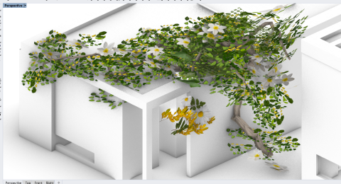Generates Ivy and plant 3D models.