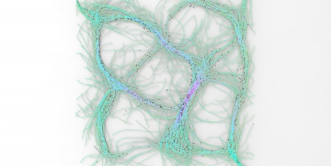 Culebra.NET is a 2D|3D Multi Object Behavior library written in C# (Wrapper around Culebra Java library) focused on hybrid system interactions.
