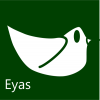 1. Introduction Eyas is intended to enhance grasshopper by providing solutions to the user to allow grasshopper to be the central blank canvas for
