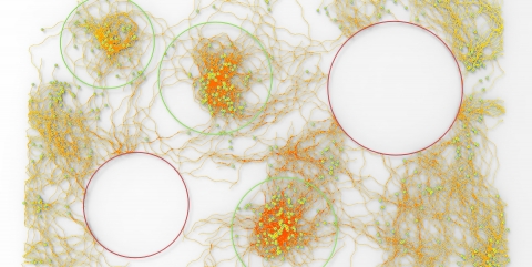 Culebra.NET is a 2D|3D Multi Object Behavior library written in C# (Wrapper around Culebra Java library) focused on hybrid system interactions.
