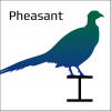 Pheasant is a set of grasshopper components. You can obtain data such as size,2Dshape and sectional area of Japanese standard steel member.
