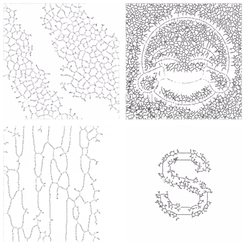 Slime is a toolkit for image processing and generative systems, including Skeletonization and Skeleton-based Physarum/Slime Mold System.