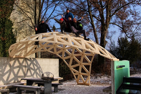Sawfish, because it creates, based on complex triangulated shapes, solid beam and plate geometry with planar sides, which can be sawn using a saw as tool only.