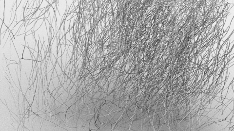 A Behaviour Agnostic Agent Based Modeller