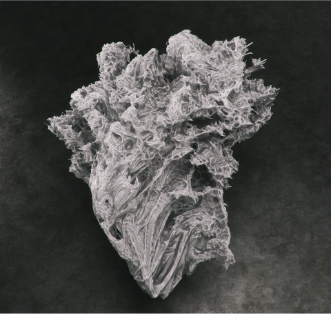 Chameleon creates a live link between Grasshopper and Zbrush to quickly exchange geometry and parametrically set up command sequences.
