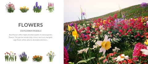 VP COMPLETE is the ultimate collection of 3D models, textures and hdris for architectural visualization in Rhino 5 and v-ray with over 700 HQ assets.