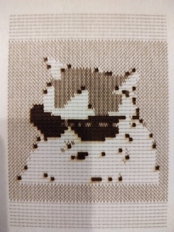 JEDI | Food4Rhino