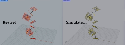 Grasshopper plugin for color blind friendly GUI
