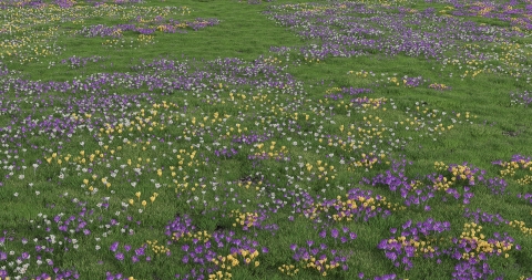 REAL FLOWER is a realistic garden flower 3D model library for architectural visualization in Rhino 5 and v-ray.