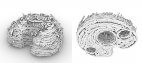 A mesh generator for movement data whilst hand-printing-clay 