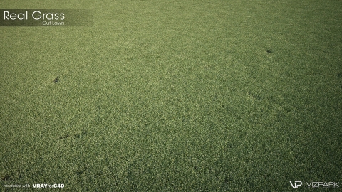 REAL GRASS is a realistic 3D model library for architectural visualization in Rhino 5 and v-ray with 122 different grass models.