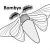The Bombyx is a Grasshopper plugin for Life Cycle Assessment of buildings in early design stages.
