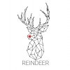 Reindeer is a parametric toolkit customized for detailing fabrication-ready timber structures.
